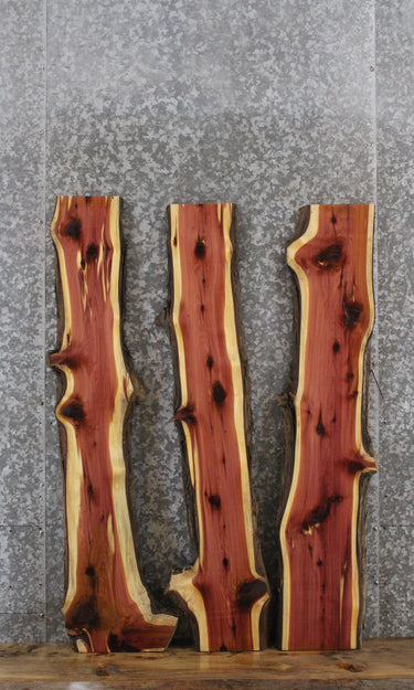 3- Red Cedar Live Edge Taxidermy/Charcuterie Slabs 468